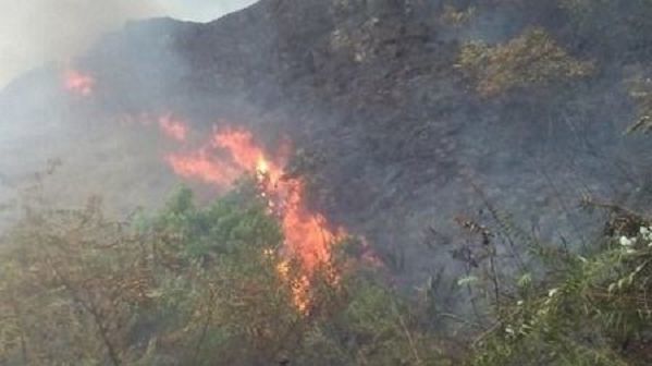 Alerta naranja en el Tolima tras incendios forestales