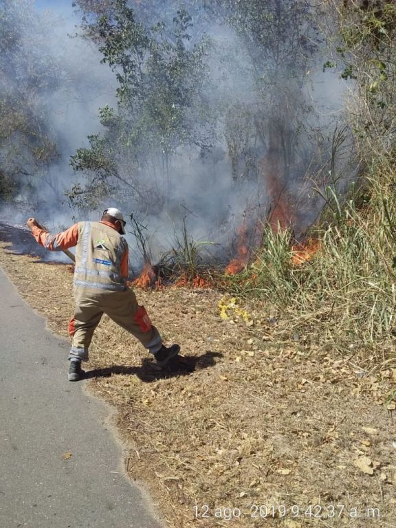 Controlados cuatro incendios forestales en el departamento
