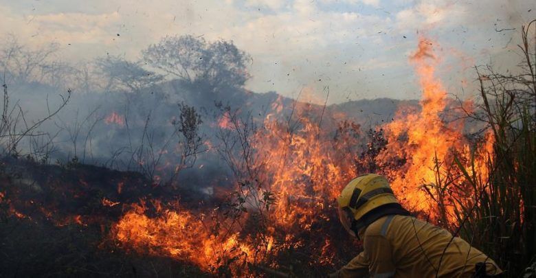 Unas cien hectáreas de vegetación se han consumido por incendio forestal en Lérida