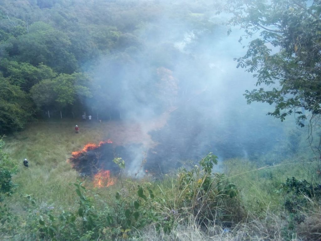 Unas mil hectáreas de vegetación se han quemado durante agosto en el Tolima