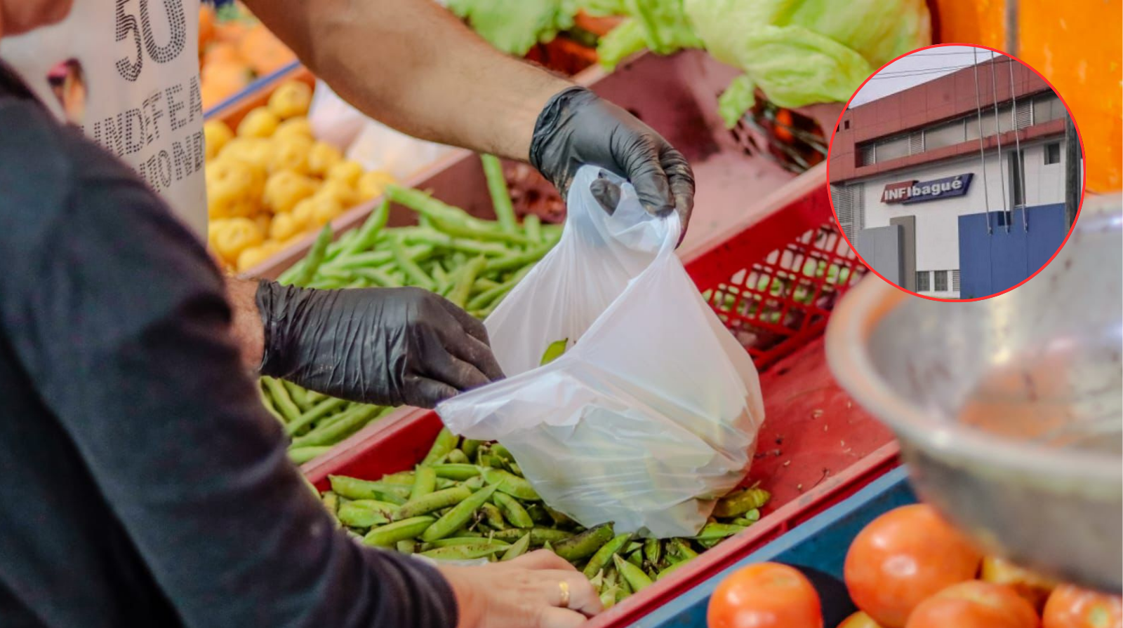 Inicia legalización de contratos en plazas de mercado de Ibagué