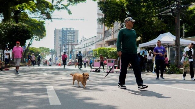 Ibagué aprobó el examen: Comparendos en el ‘Día sin carro’ cayeron un 37%