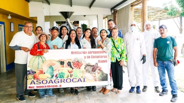Asoagrocai: el cacao del Tolima que se proyecta al exterior