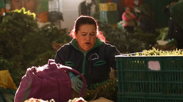 SENA certificará la experiencia de 2.000 trabajadores de la economía popular en Tolima