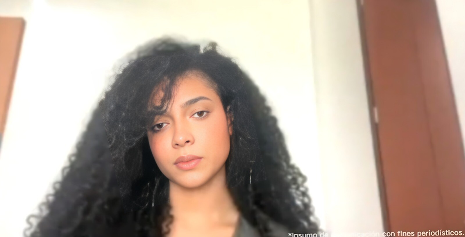 Imputan a exviceministra la igualdad por posesionarse con títulos falsos