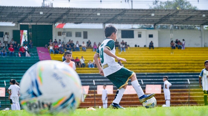 ¡Atención! Si tienes entre 10 a 14 años y sueñas con ser parte de la Cantera Pijao del Club Deportes Tolima, esta información es para ti