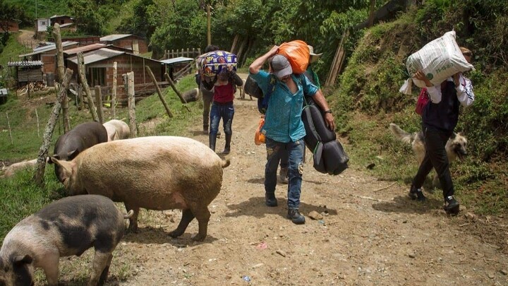 Colombia, segundo país con más desplazados internos