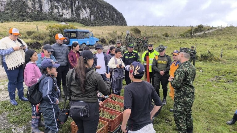 Siembran 1.500 árboles y frailejones en jornada ambiental en Tolima
