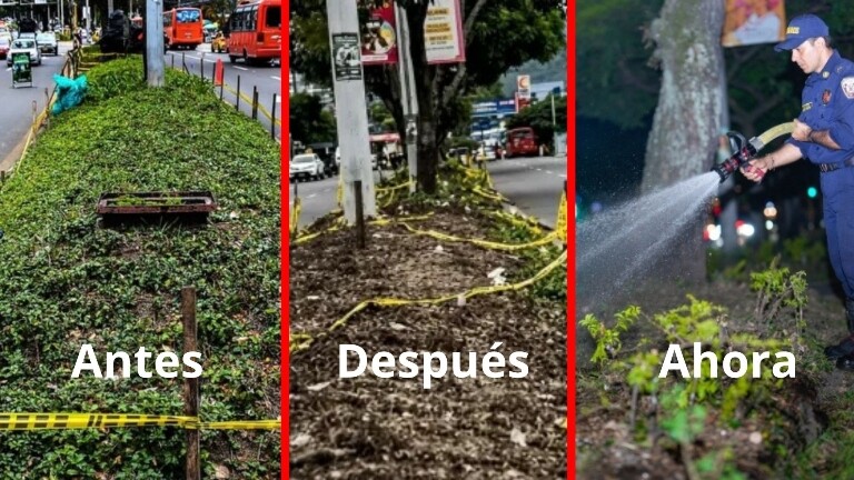 Tras los daños al ornato, Alcaldía inició recuperación del separador de la Quinta