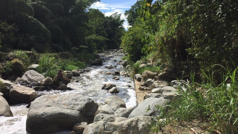 Más manos para cuidar el agua y los bosques de Ibagué