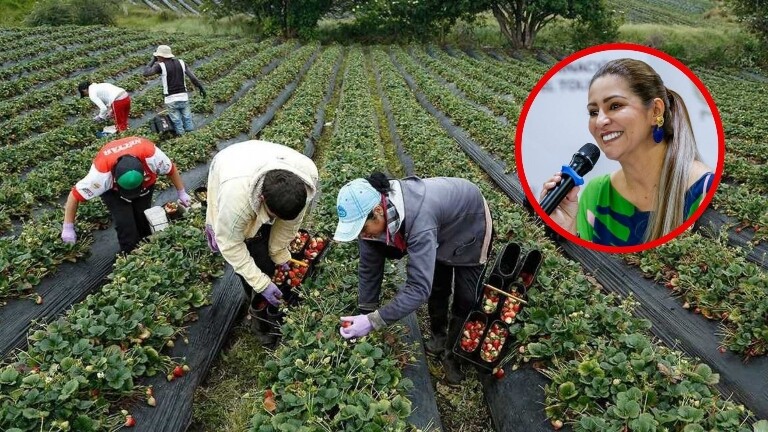 "En el Tolima están pasando cosas buenas": gobernadora Matiz