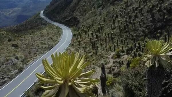 Regresa el pico y placa ambiental en la vía Murillo-Manizales