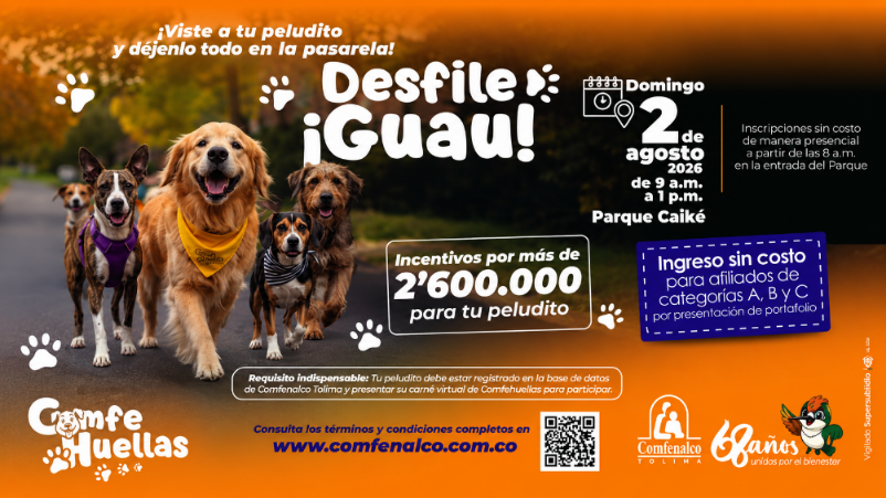 Ibagué prepara desfile para premiar a los peluditos más estilosos