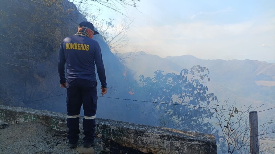 Cerca de 1.000 hectáreas afectadas por incendios en el Tolima