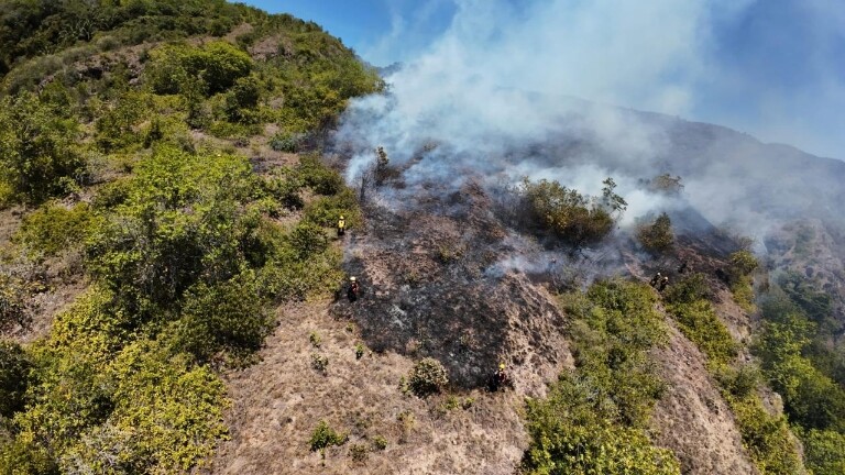 Incendios y escasez de agua ponen a Ibagué en alerta naranja