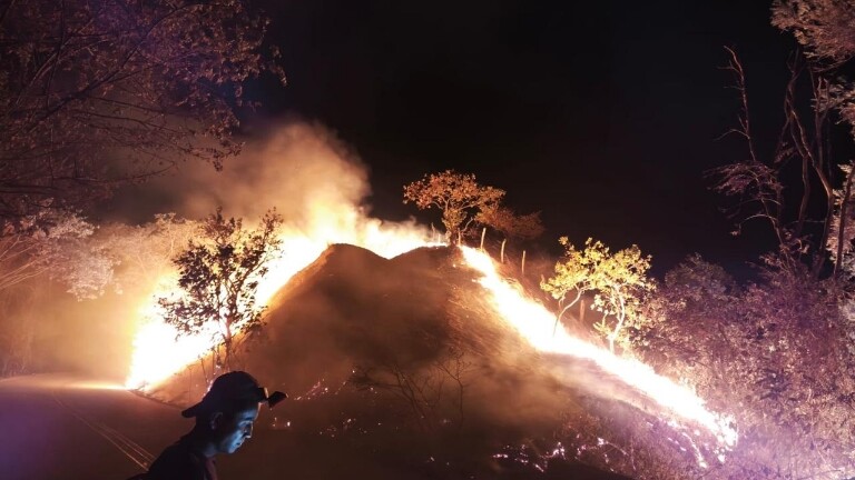 Tolima, el departamento más afectado por incendios forestales