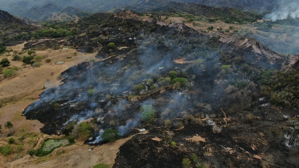 Incendios en Tolima ya dejan más de 11.200 hectáreas afectadas