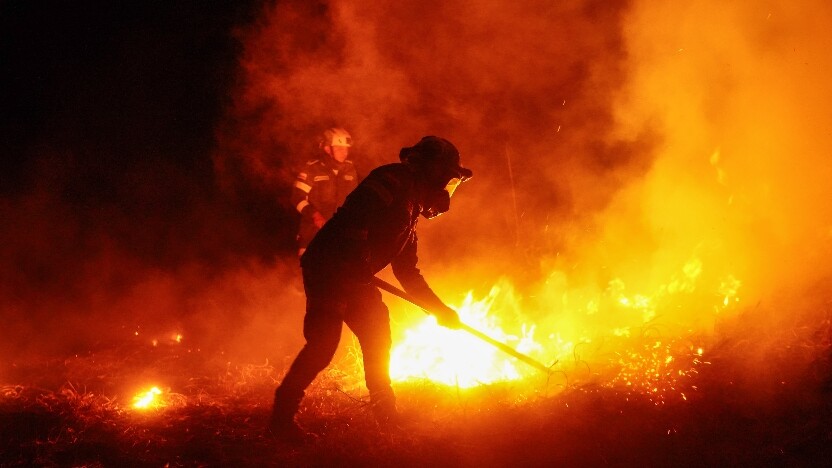 Incendios ponen en riesgo 174.306 hectáreas de forraje en el Tolima