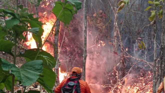 Controlan incendios en varios municipios, pero persiste el riesgo en Tolima