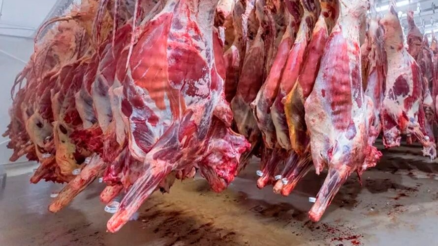 Colombia busca aprovechar ventana de 90 días para exportar 300.000 toneladas de carne a Estados Unidos