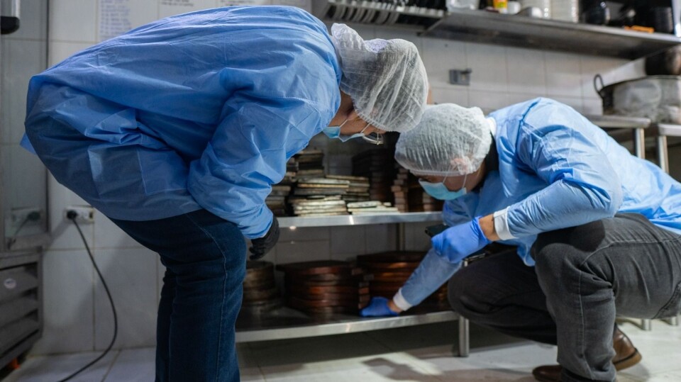 Cucarachas y alimentos descompuestos provocan cierre de negocio en Ibagué