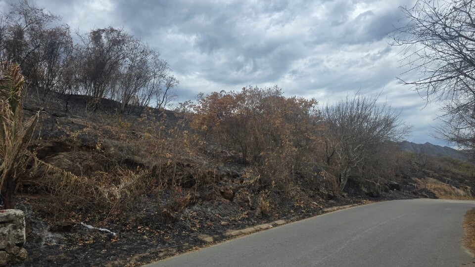 Incendios siguen golpeando al Tolima: comunidades piden ayuda y evitar quemas