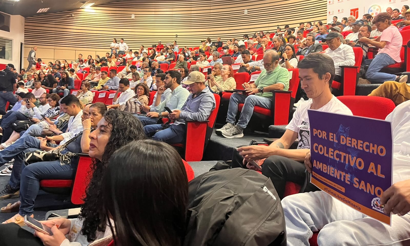 Audiencia Pública contra la "minería criminal"