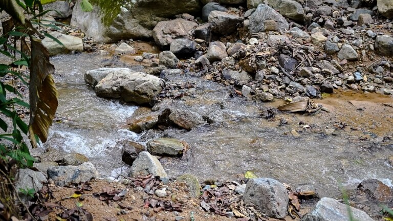 Ibagué pide ahorrar agua y energía ante baja del 75% en los caudales