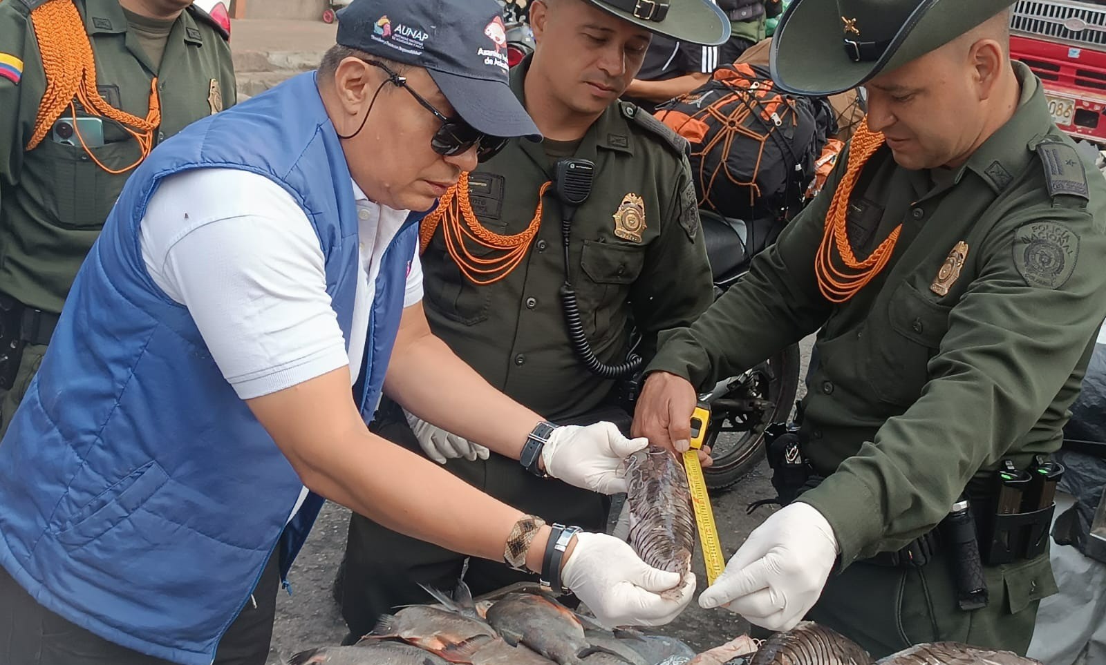 Incautan más de 40 kilos de pescado en las plazas de mercado de Ibagué