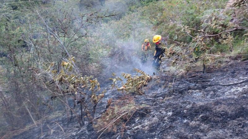 Incendio forestal fue controlado en Roncesvalles
