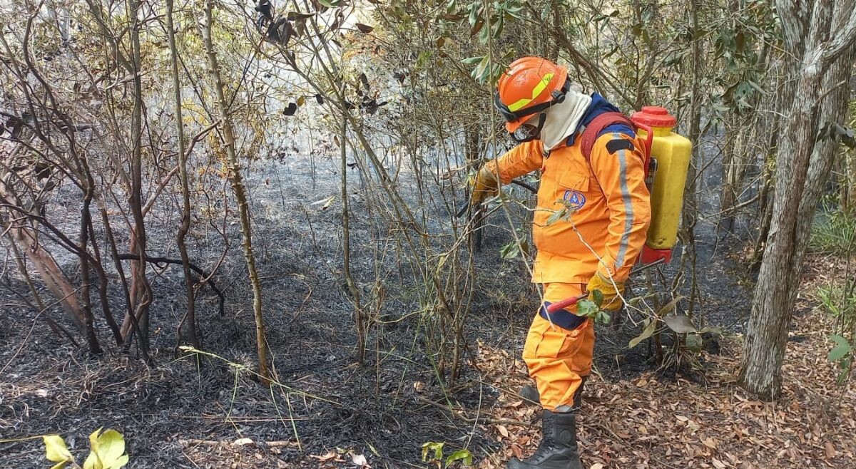 Incendios en el Tolima mantienen en alerta a las autoridades