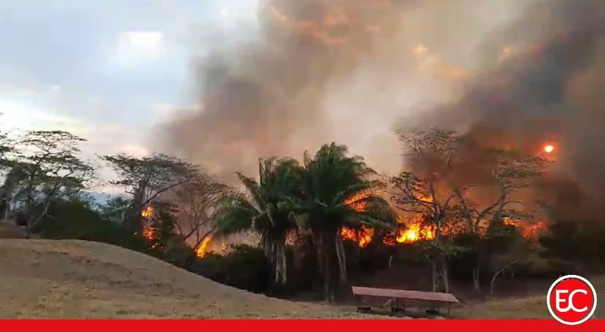Incendios forestales agravan la emergencia en Tolima tras terremoto