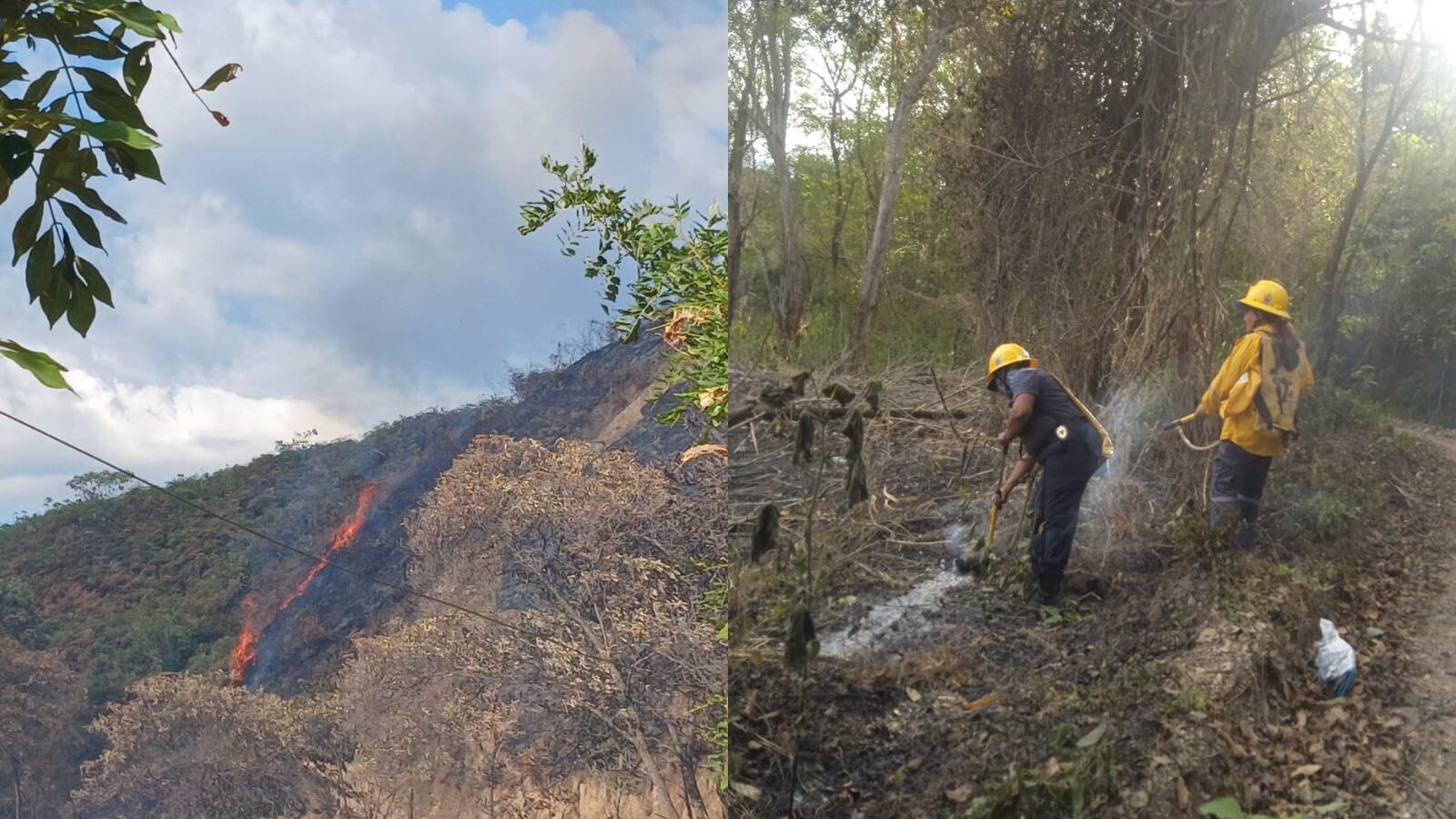 Incendios forestales arrasan 154 hectáreas en el Tolima este fin de semana