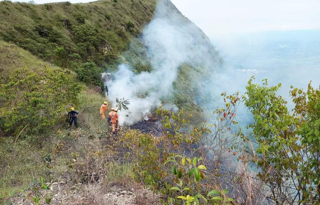 Incendios forestales consumieron más de 300 hectáreas en Suárez, Purificación y Cunday