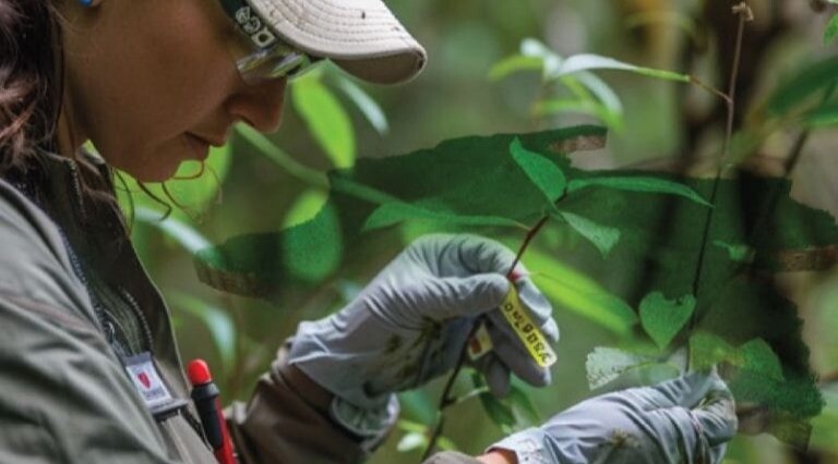 Universidad del Tolima realiza 9º Congreso Forestal Nacional