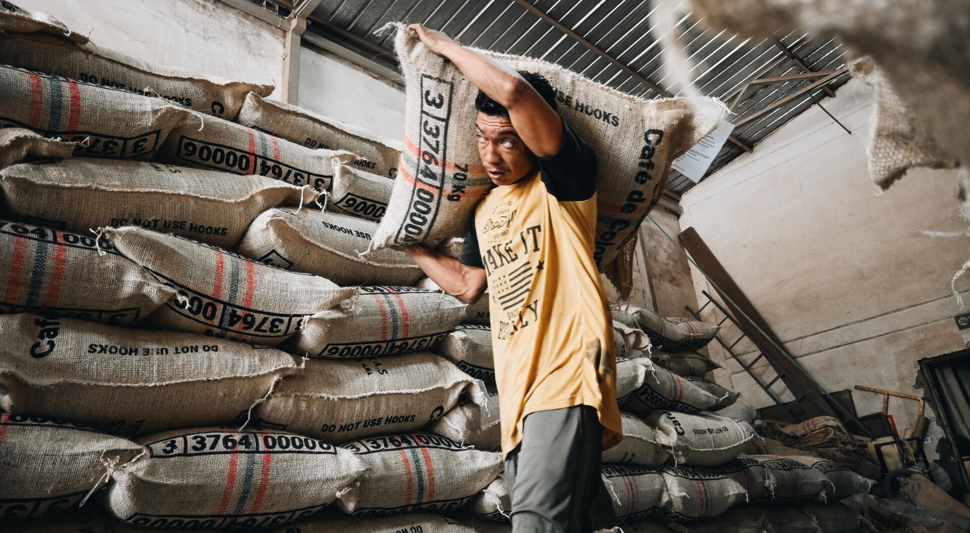 Café y palma impulsan exportaciones en septiembre