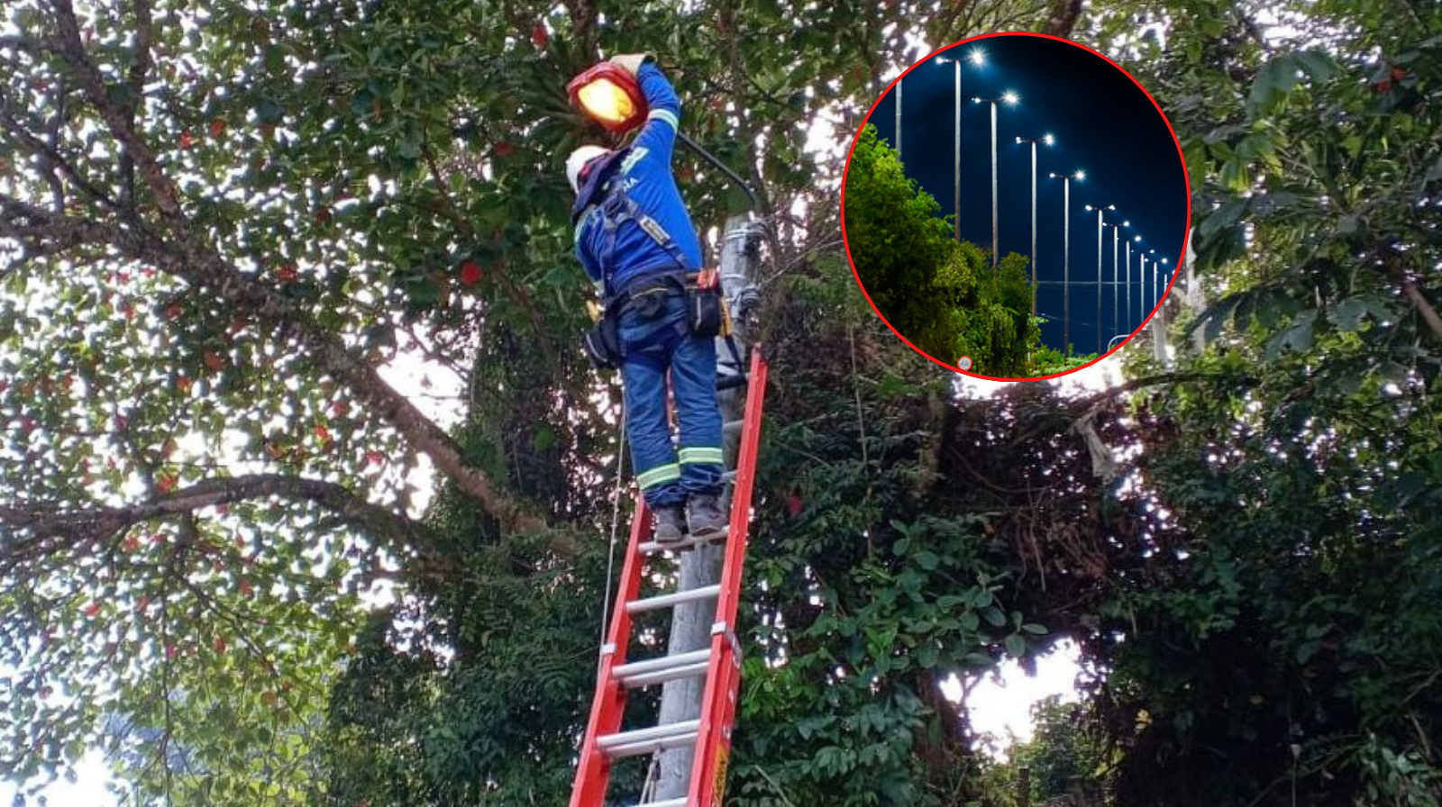 Alumbrado público de China Alta será modernizado a LED en 2026