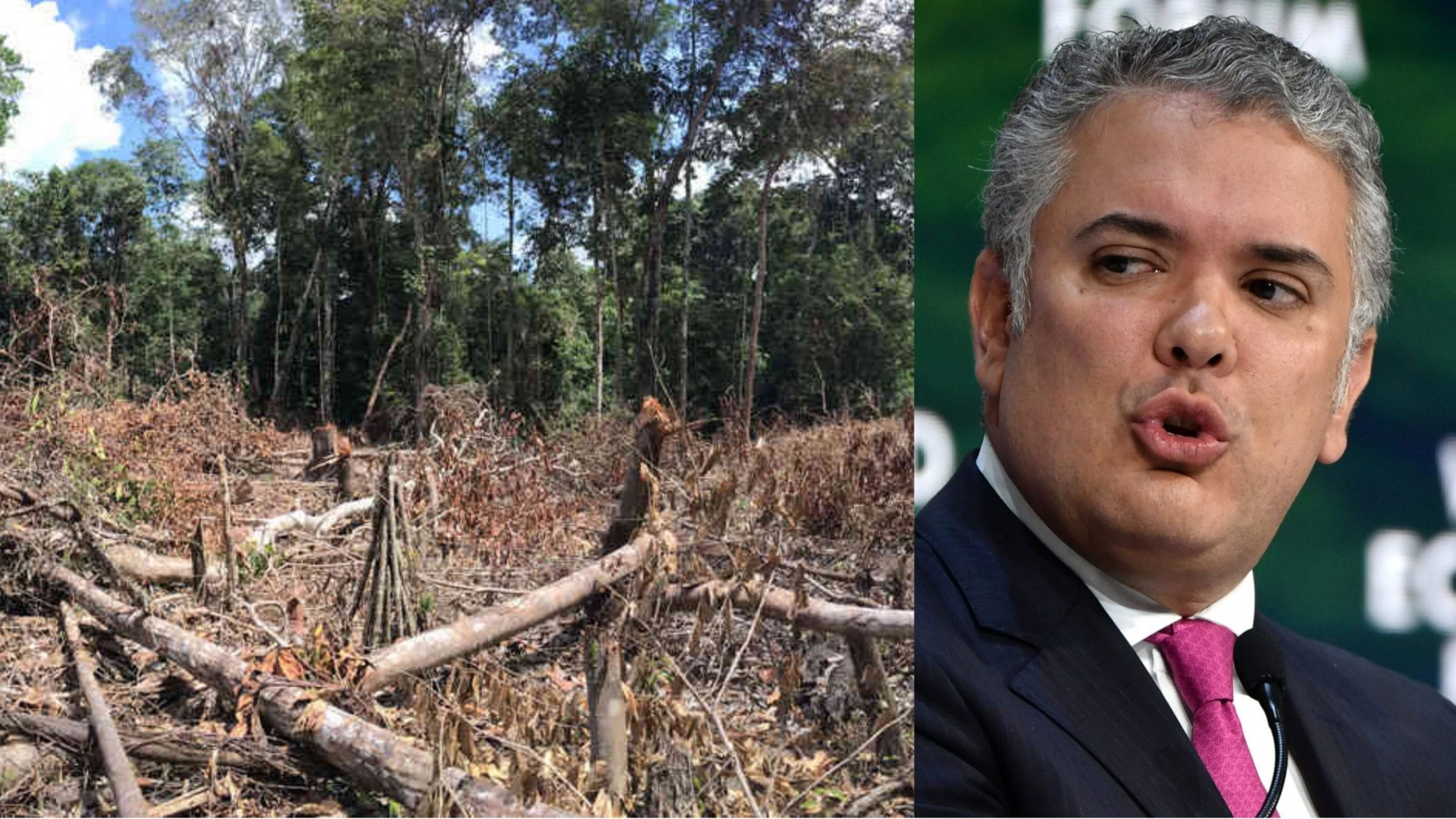 Gobierno Duque se rajó en medioambiente, según estudio