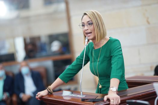 Jennifer Arias, la justificación para cambiar el Congreso