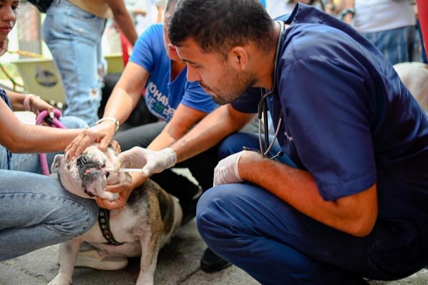 Este viernes y sábado, jornadas de bienestar animal gratuitas en Ibagué