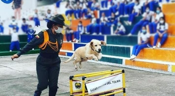 Jubilan con honores a 'Kiara', canina que sirvió por años en la Policía Tolima