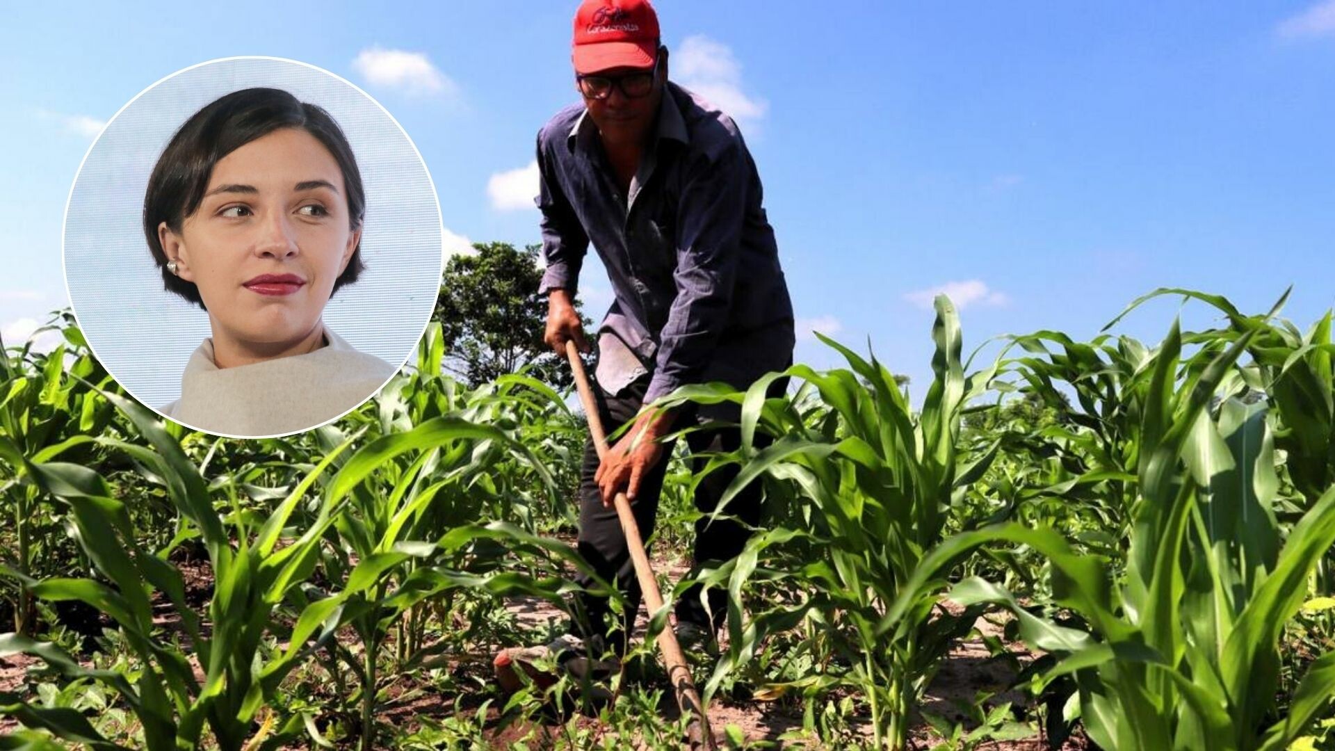 Juez declara improcedente tutela contra APPA en el Tolima