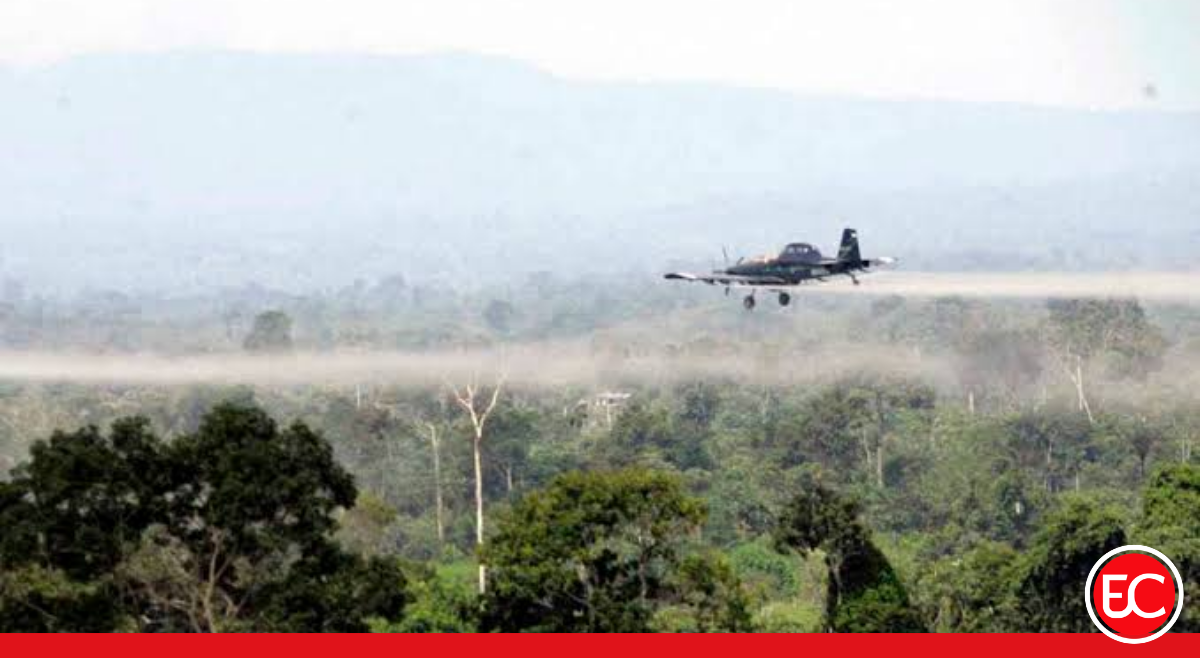 Juzgado suspende fumigaciones aéreas con glufosinato en Putumayo
