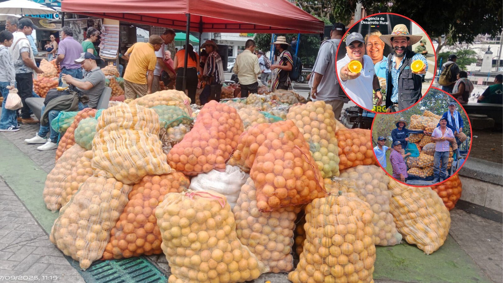 La historia de los campesinos del sur que trajeron la Naranjatón a Ibagué