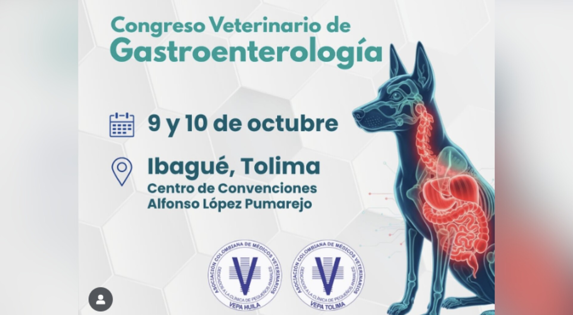 La medicina veterinaria tiene cita en Ibagué: Primer Congreso de Gastroenterología 2025