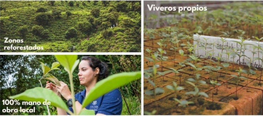 La meta ambiental que cumplió Celsia