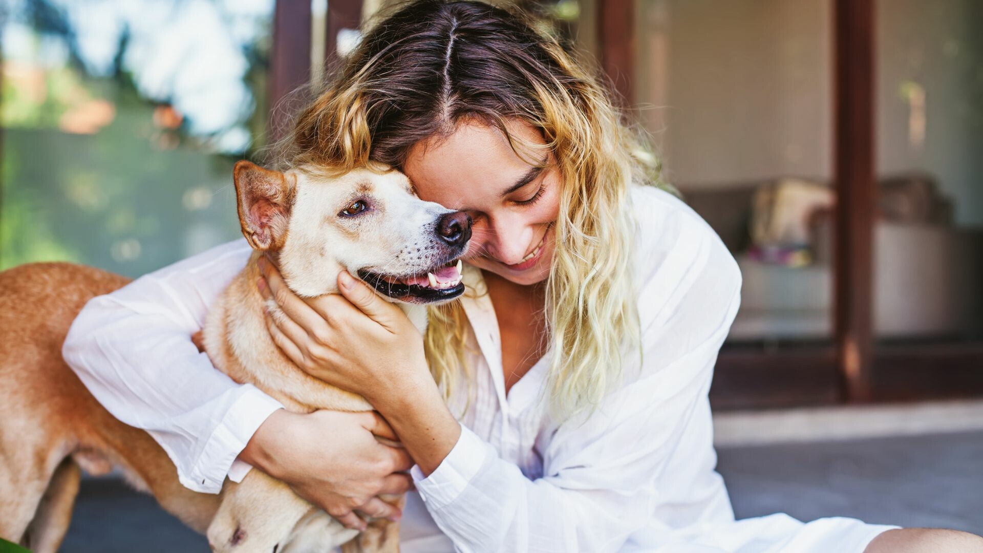 ¿La muerte de una mascota puede dar derecho a licencia laboral remunerada?
