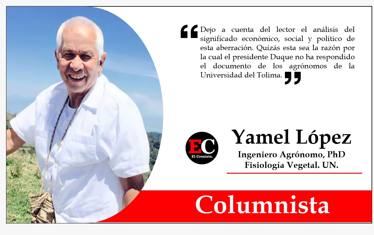 La respuesta que esperan los agrónomos de la Universidad del Tolima
