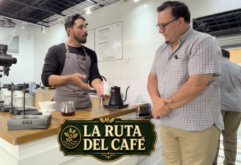 La taza donde se toma el café sí importa
