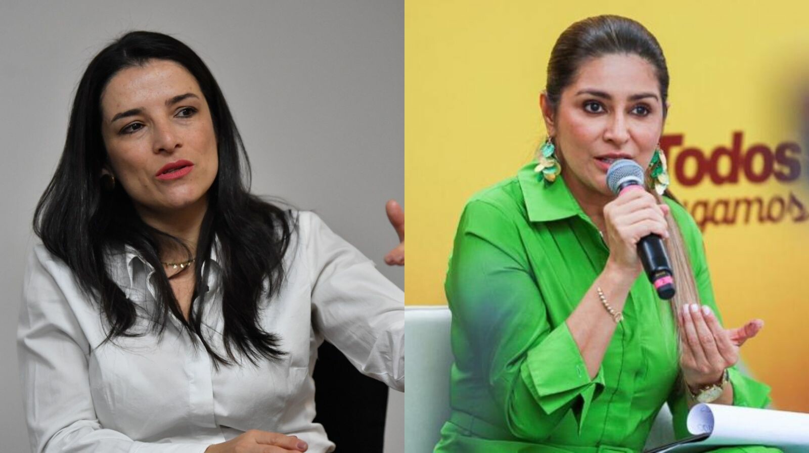 Las advertencias de Martha Alfonso a la gobernadora del Tolima por maquinaria amarilla entregada